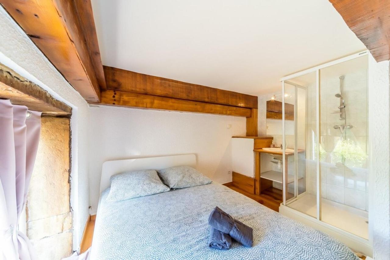 The Charming Fleury 2 Bedrooms Oullins Bagian luar foto
